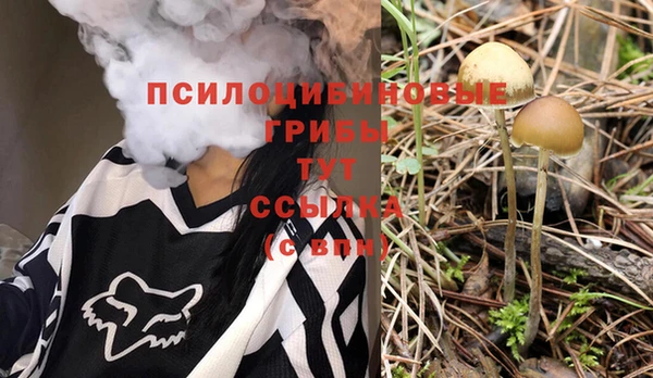 MDMA Premium VHQ Гвардейск