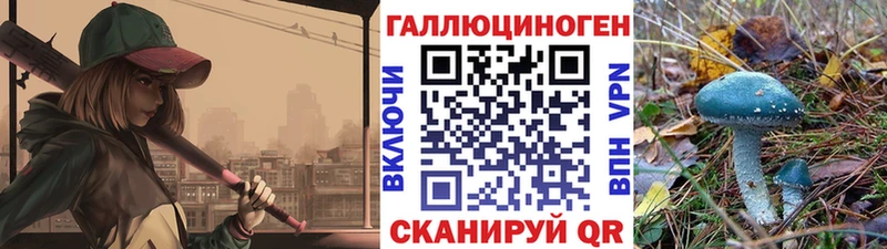 ссылка на мегу зеркало  Сальск  Псилоцибиновые грибы прущие грибы 