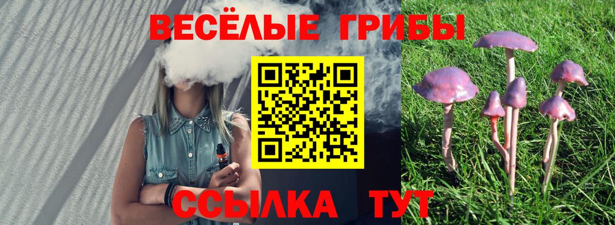 Псилоцибиновые грибы ЛСД Сальск