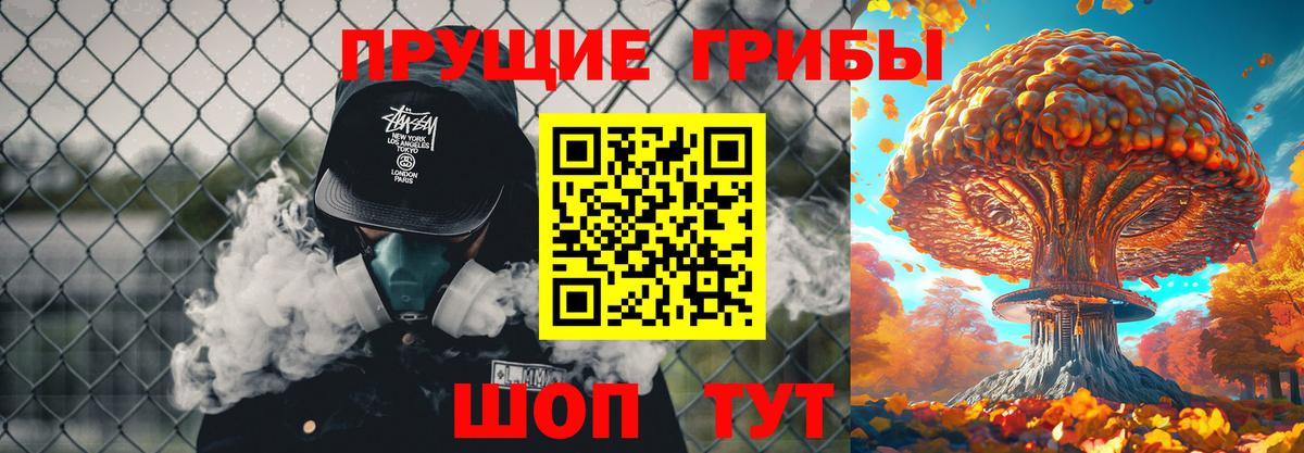 Сальск  наркота  Вход с VPN  Псилоцибиновые грибы прущие грибы 